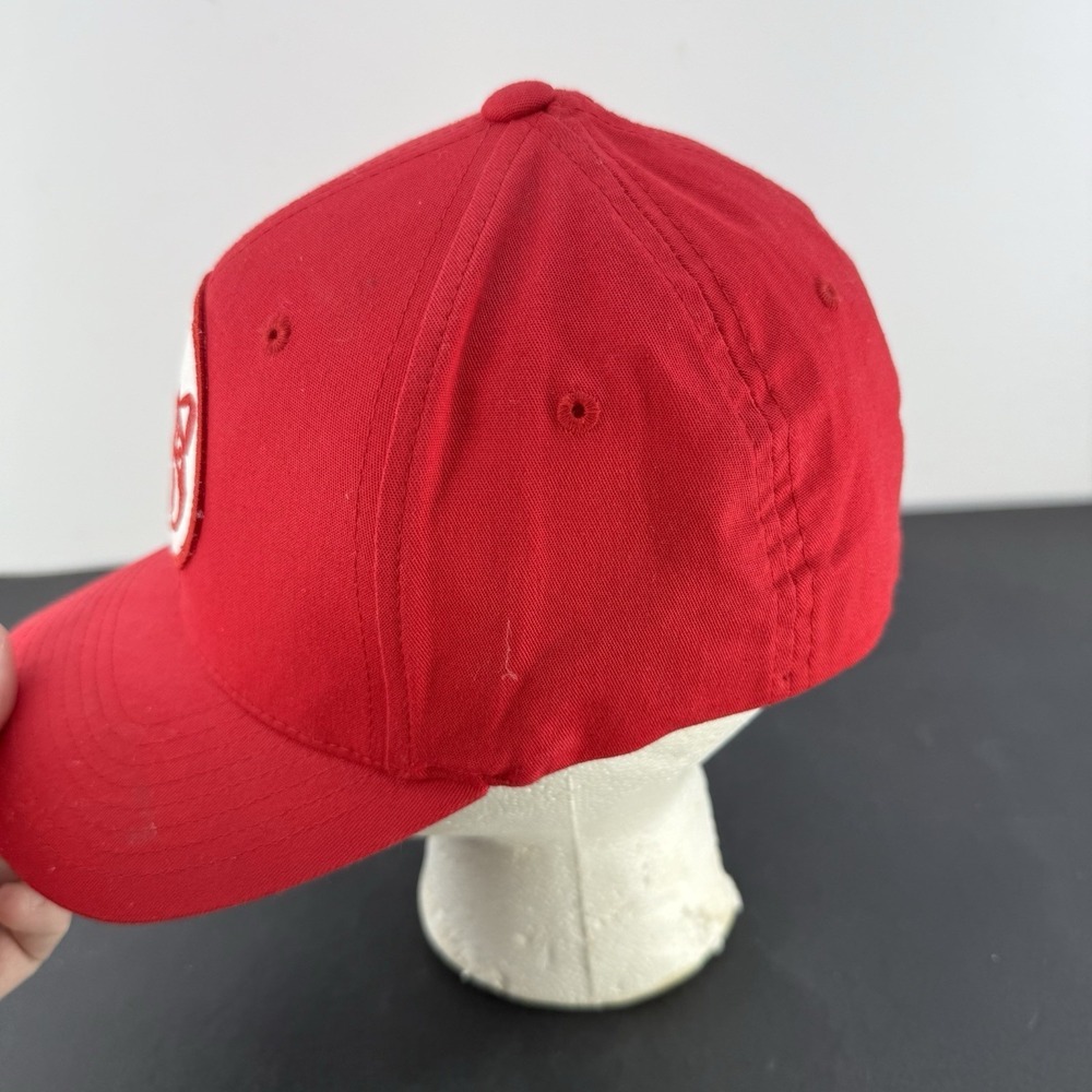 Pixar's Turning Red Logo Hat Exclusive Flexfit Embroidered Hat Small Medium - Picture 2 of 7